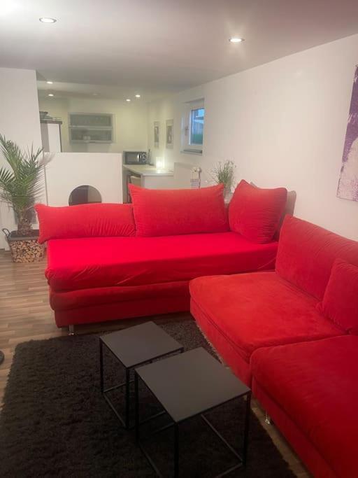 Gemuetliches Einliegerapartment, 50 Qm Trippstadt Екстер'єр фото