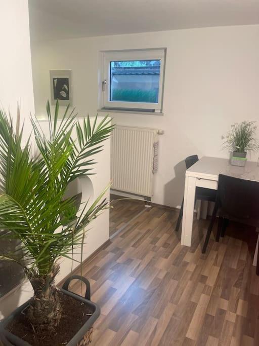 Gemuetliches Einliegerapartment, 50 Qm Trippstadt Екстер'єр фото